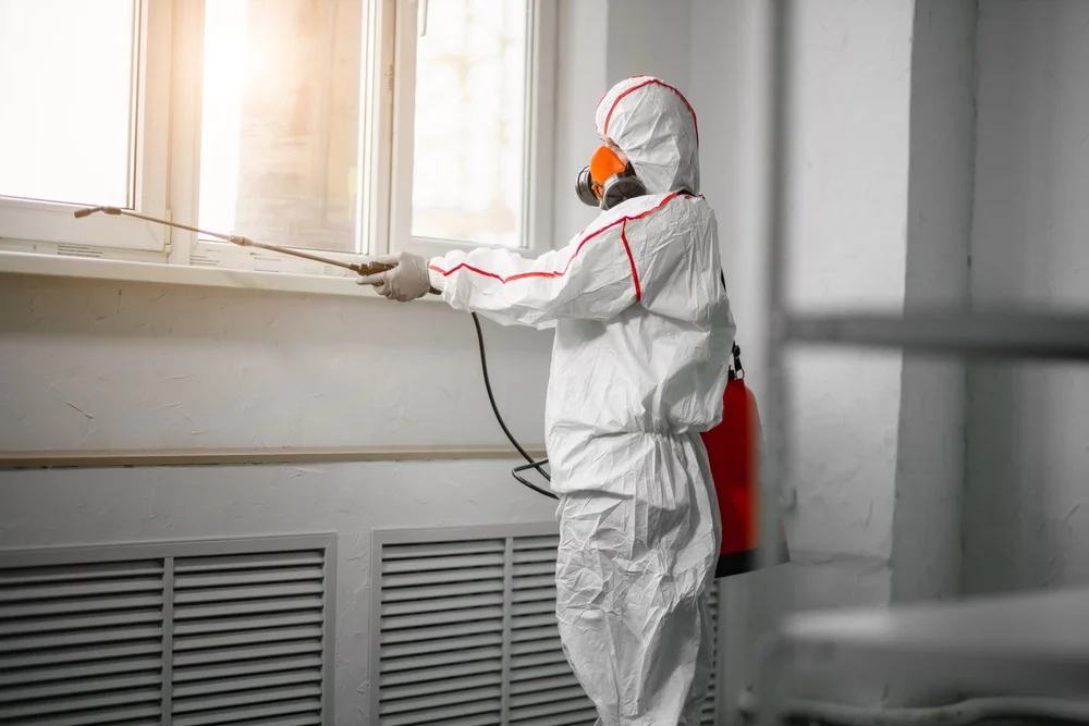 Professional mold remediation services in Clarksville, OH
